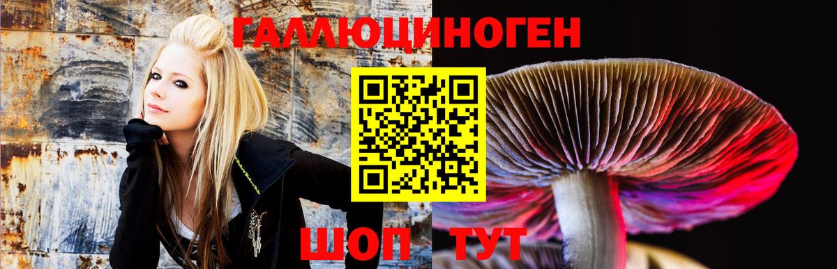 Галлюциногенные грибы мухоморы Нижний Тагил